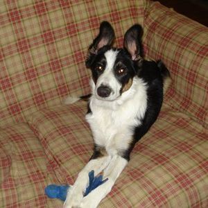 Meet your Posher, Nancy